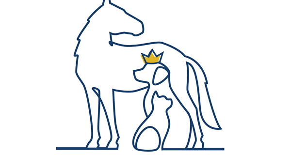 Kings Highway Animal Clinic