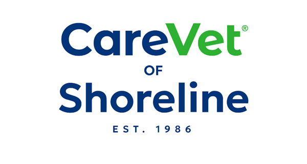 CareVet of Shoreline