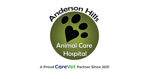 Anderson Hills Animal Care