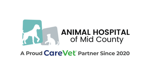 Animal Hospital of Mid County