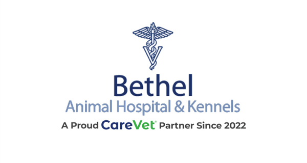 Bethel Animal Hospital