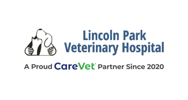 Lincoln Park Veterinary Hospital