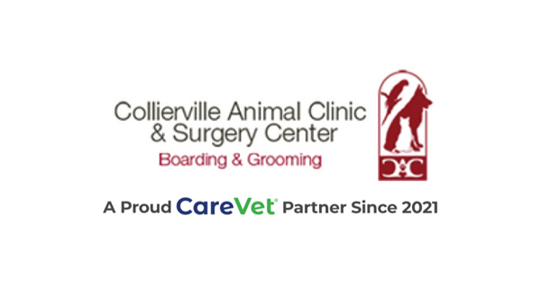 Collierville Animal Clinic