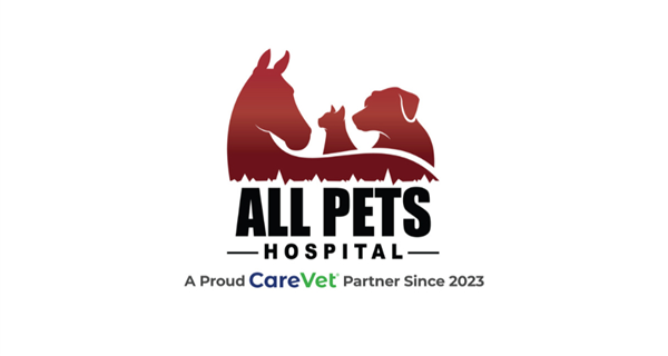 All Pets Hospital
