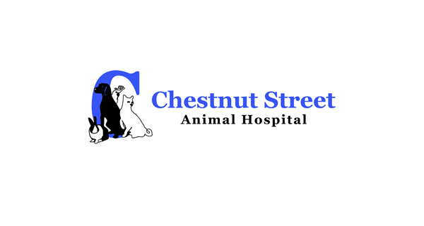 Chestnut Street Animal Hospital