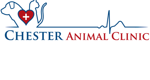 Chester Animal Clinic