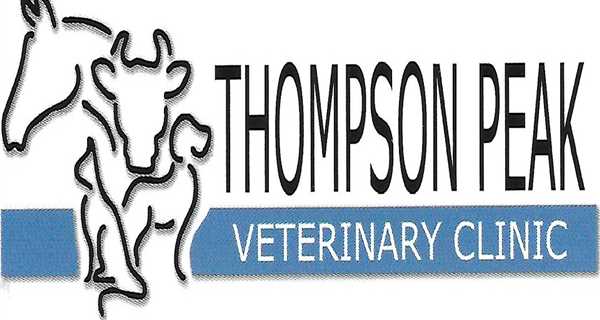 Thompson Peak Veterinary Clinic