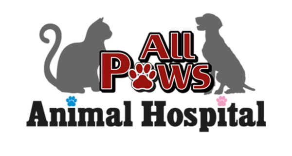 All Paws Animal Hospital
