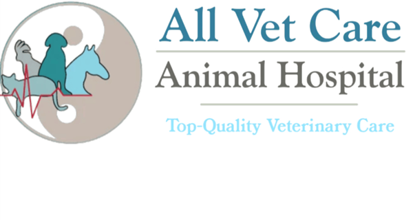 All Vet Care Animal Hospital and Rehabilitation