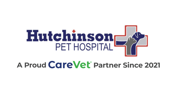 Hutchinson Pet Hospital