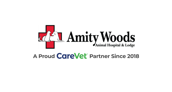 Amity Woods Animal Hospital