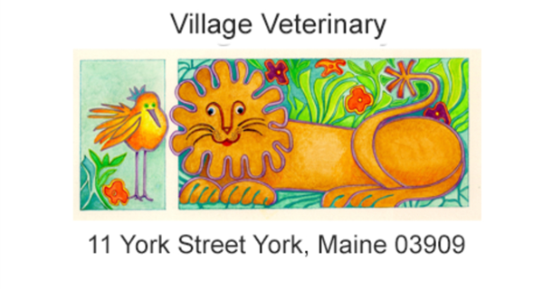Village Veterinary - York