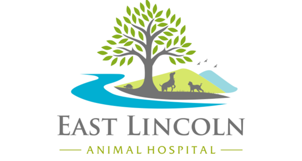 East Lincoln Animal Hospital
