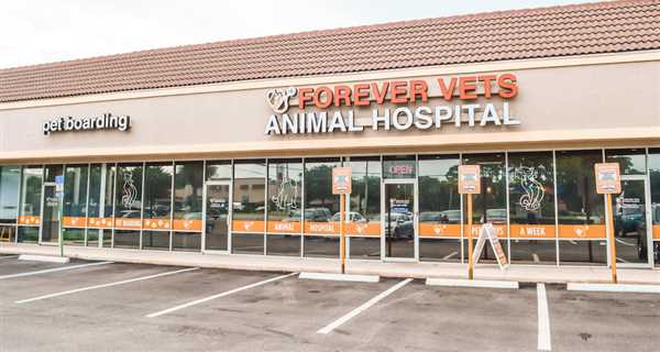 Forever Vets Animal Hospital of Jacksonville Beach