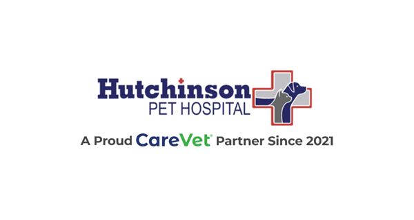 Hutchinson Pet Hospital