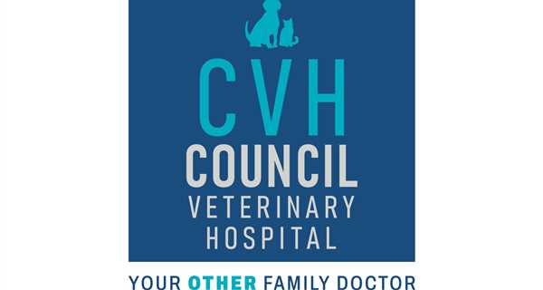 Council Veterinary Hospital