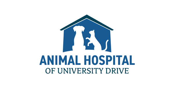 Animal Hospital of University Drive