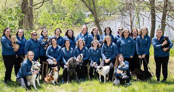 North River Animal Hospital