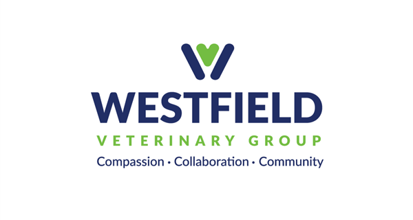 Westfield Veterinary Group - Westfield