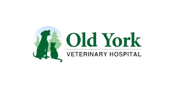 Old York Veterinary Hospital
