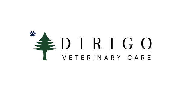 Dirigo Veterinary Care
