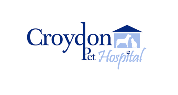 Croydon Pet Hospital