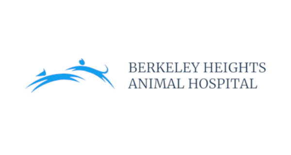 Berkeley Heights Animal Hospital