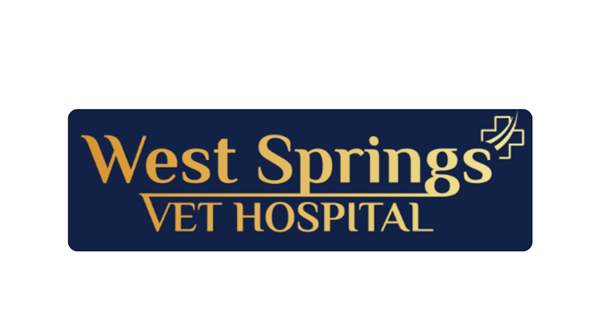 West Springs Veterinary Hospital