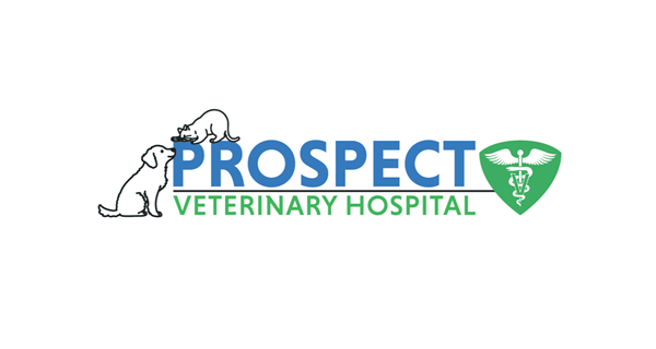 Prospect Veterinary Hospital