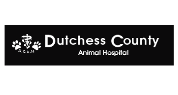 Dutchess County Animal Hospital