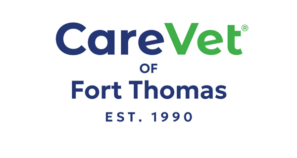 CareVet of Fort Thomas
