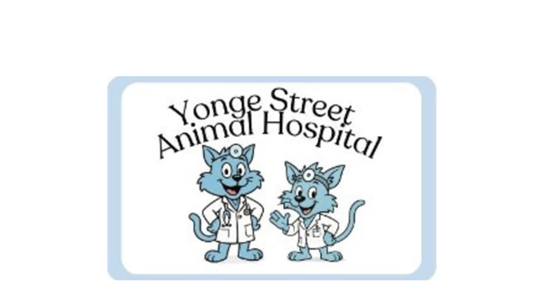 Yonge Street Animal Hospital