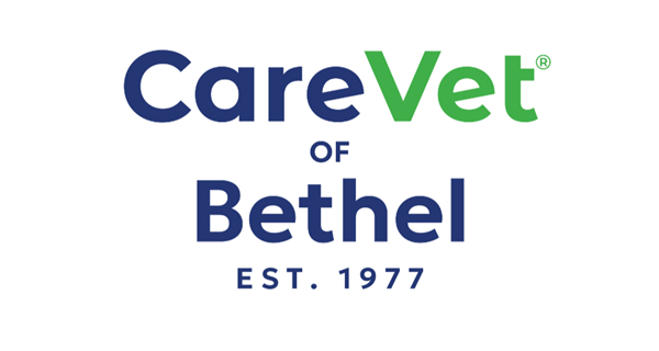 CareVet of Bethel