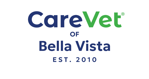 CareVet of Bella Vista