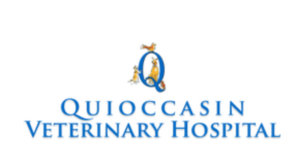 Quioccasin Veterinary Hospital