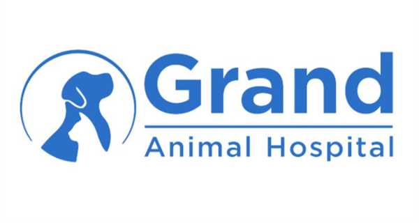 Grand Animal Hospital 