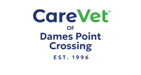 CareVet of Dames Point Crossing