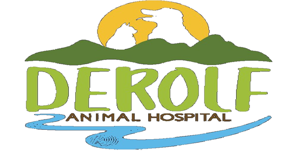 DeRolf Animal Hospital