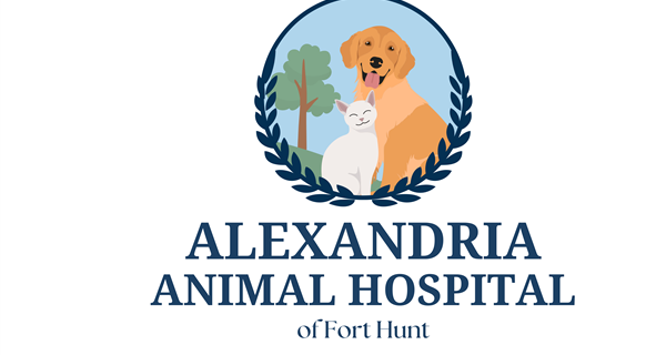 Alexandria Animal Hospital of Fort Hunt (formerly Hollin Hall Animal Hospital)