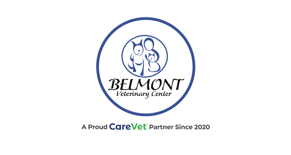 Belmont Veterinary Center