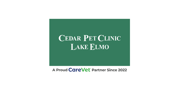 Cedar Pet Clinic