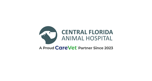Central Florida Animal Hospital