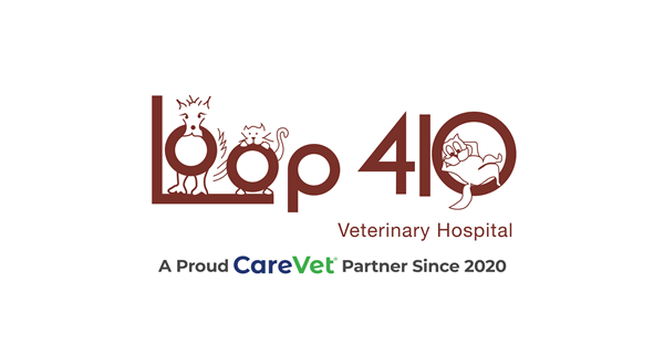 Loop 410 Veterinary Hospital
