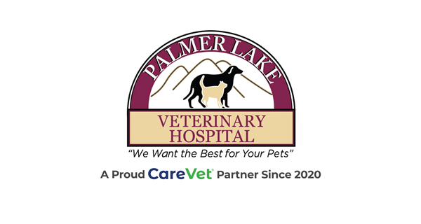 Palmer Lake Veterinary Hospital
