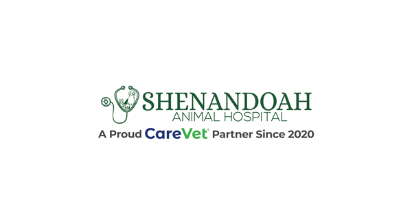 Shenandoah Animal Hospital, Inc.