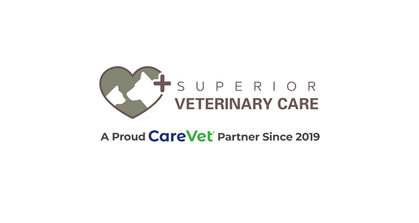Superior Veterinary Care