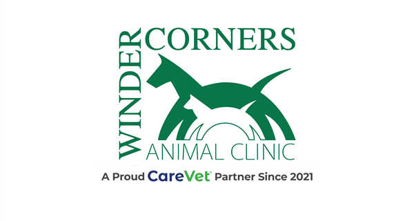 Winder Corners Animal Clinic