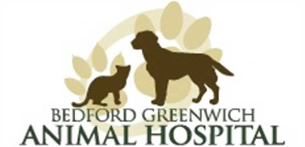 Bedford Greenwich Animal Hospital