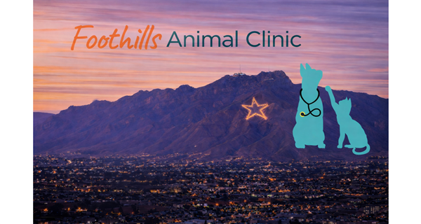 Foothills Animal Clinic