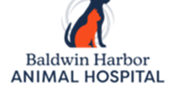 Baldwin Harbor Animal Hospital